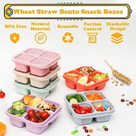 Six Pack Snack Containers With Four Compartment Divided Design, Reusable Bento Box displaying fresh food ingredients