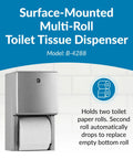 Surface Mounted Dual Roll Toilet Paper Dispenser In Satin Stainless Steel, ADA Compliant, Holds Two Standard Rolls