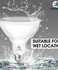 Pack Of 12 1250LM Par38 LED Flood Light Bulbs For Outdoor Use, 5000K Daylight White, suitable for wet locations.