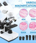 Kid Friendly Classroom Ready Compound Binocular Microscope 40X To 2000X With 30 Prepared Slides For Kids Students And Adults, All In One Microscope Accessories With Wire Camera Shutter, Lab Grade Quality CX1012 displaying various magnifications from 40X to 2000X with sample images.