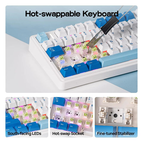 Top Shelf 75 Percent Wireless Gaming Keyboard Built Different With Massive 10000 Mah Battery showcasing hot-swappable switches and RGB LEDs.