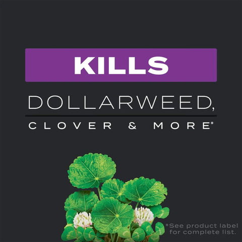 Southern Triple Action Lawn Care Kills Weeds Feeds Turf Prevents Fire Ants And Fights Pests For Up To Six Months image of dollarweed
