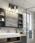 Two Light Vanity Light Fixture Matte Black With Clear Glass Shades in bathroom over mirror, industrial style