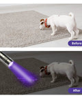 Two Pack 395nm UV Black Light Flashlights Mini Pen Light With Clip Waterproof For Pet Urine Stains Bed Bugs Hotel Inspection Dry Stains Leak Detection Scorpion Areas And Hidden Marks, dog carpet before after