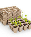 10 Pack 120 Cell Biodegradable Seed Starter Trays for Germination Peat Pots with seedlings sprouting