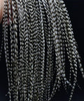 Close-up of 10-piece black and white dry fly tying feather set with presized saddle hackles 6-9 inches long sizes 12 through 14