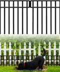 14 Pack No Dig Fence Panels 19.5 Feet Long And 13 Inch High Animal Barrier setup against garden edge with black metal design.