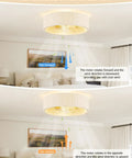 Jughtbo Boho Caged Fandelier Ceiling Fans with Lights and Remote Control showing reversible wind direction in two positions.