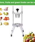 Pro Grade Citrus Slicer 8-Section With V-Shaped 420 Stainless Steel Blades Easy Wedger For Lemons And Limes with fruit variety