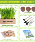 Indoor Cat Grass Kit 3 Pack With Seeds, Coconut Coir Soil Discs, Wooden Planter And Mini Tools For Easy Grow No Green Thumb Needed