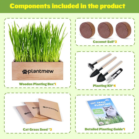 Indoor Cat Grass Kit 3 Pack With Seeds, Coconut Coir Soil Discs, Wooden Planter And Mini Tools For Easy Grow No Green Thumb Needed