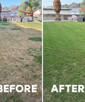 Before and after results of using Liquid Lawn Aerator That Loosens Hard Clay Soil With No Equipment Needed Spray On Sprayer Included