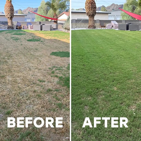 Before and after results of using Liquid Lawn Aerator That Loosens Hard Clay Soil With No Equipment Needed Spray On Sprayer Included