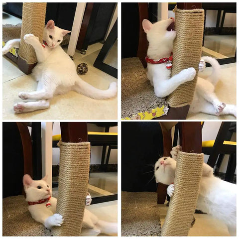 Cat playing with a 8mm jute rope thick twine 50 feet heavy duty natural fiber scratch post