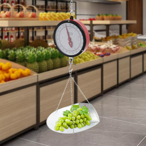 Double Sided Dial Hanging Scale 22 Lbs Mechanical Scale With Big Display Scoop And Chain Heavy Duty Iron Body Farm Grade For Farm Kitchen Food And Produce Great For Market Use And Home Kitchen Quick Weighing Of Produce
