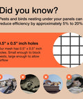 Diagram highlighting the impact of pests on solar panel efficiency with close-up of mesh, part of Solar Panel Squirrel Guard Mesh for Backyard Protection PVC Coated Galvanized Steel Barrier Netting 6 Inch By 50 Foot Black Bird And Critter Barrier Easy Install Under Fence Keeps Panels Clean And Pest Free.