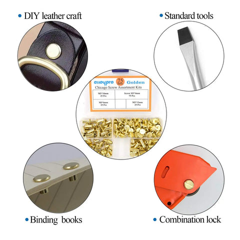 Heavy Duty Golden Chicago Screw Rivets Assortment Kit For Leather Craft And Bookbinding displayed with leather tools and binding examples.