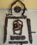 Nylon Horse Driving Harness With Patchwork Bridle, Padded Western Bridle, And Synthetic Leather Padding, laid out on floor.