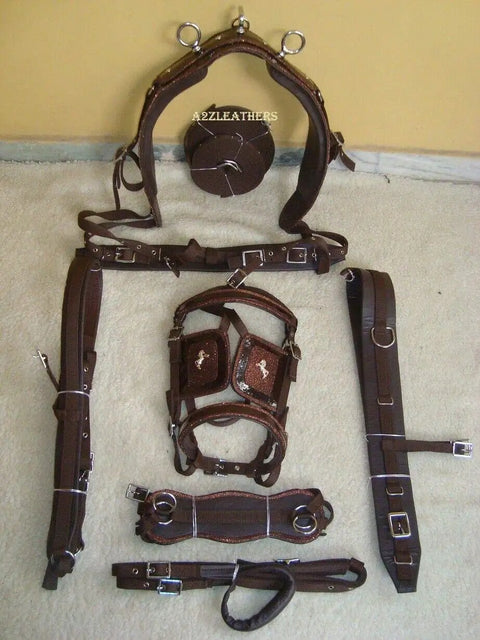 Nylon Horse Driving Harness With Patchwork Bridle, Padded Western Bridle, And Synthetic Leather Padding, laid out on floor.