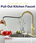 TOYWIA Kitchen Faucets with Pull Down Sprayer, High Arc Single Handle Classic Stainless Steel Sink Faucet 1 or 3 Hole, Suitable for Farmhouse Camper Laundry Rv Bar, Gold with pull-out sprayer washing tomatoes.