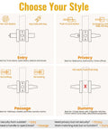 Infographic showing door lever options for Entry, Privacy, Passage, and Dummy with features and best use cases for each type.