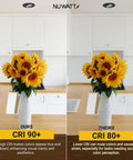 Comparison of CRI 90+ and 80+ lighting with sunflowers under Black 3 Inch LED Gimbal Recessed Lights With 5CCT 2700K To 5000K Selectable.