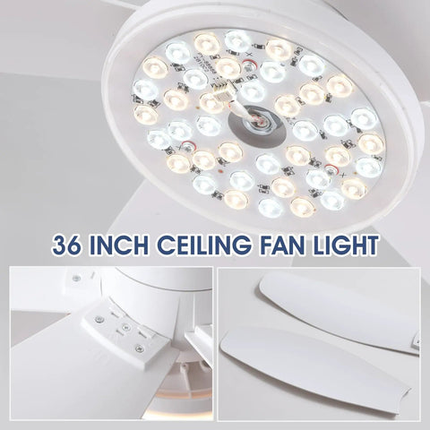 Close-up of LED lights on Low Profile 36 Inch Ceiling Fan With Remote And App Control, Dimmable LED Lights, DC Inverter Motor, Flush Mount.