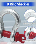 Five Pack Heavy Duty D Ring Anchor Shackles One Half Inch Galvanized Clevis Shackle Screw Pin Two Ton Load Capacity