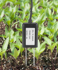 Soil pH Sensor With RS485 0 To 5V 0 To 10V And 4 To 20mA Outputs Epoxy Probe in garden, measuring pH 3 to 9 for plants.