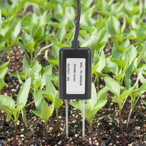 Soil pH Sensor With RS485 0 To 5V 0 To 10V And 4 To 20mA Outputs Epoxy Probe in garden, measuring pH 3 to 9 for plants.