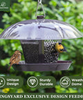 Outdoor Bird Feeder Dual Use Metal Mesh With Weatherproof Dome 2.5 Pound Seed Capacity For Finches And Cardinals