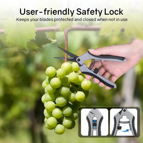 Six Point Five Inch Pruning Shears Set cutting green grapes, ergonomic handles, rust resistant, safety lock visible