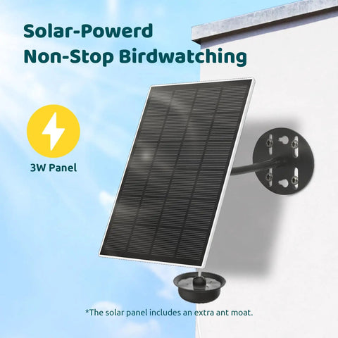 Smart Hummingbird Feeder With Camera And Solar Power, Live View And 1080P Video, Instant Alerts, solar panel attached to wall