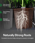 Cross-section of a pot showing Seed Rooter Plugs for Seedlings And Cuttings, 40 Cube Pack optimizes germination with root guide.