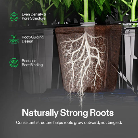 Cross-section of a pot showing Seed Rooter Plugs for Seedlings And Cuttings, 40 Cube Pack optimizes germination with root guide.