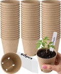 Eco Friendly 3.15 Inch Peat Pots Set Of 60 Biodegradable Seed Starter Pots With 60 Labels includes nursery pots and tomato seedling