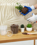 Person planting in clear nursery pot with drainage holes, succulents on table, showcasing transparent plastic planter pot for indoor use.