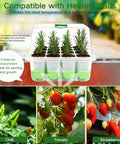 Silicone Seed Starter Tray With Humidity Dome Indoor Seedling Kit 5 Pack 60 Cell Germination Trays Adjustable Vent Reusable And Dishwasher Safe For Herbs Vegetables And Flowers For Easy Grow with seedlings and fruits.