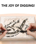 Hands On Dino Fossil Dig Kit For Kids Ages 5 To 7 And 8 To 12 With Real Fossils Teeth Claws And Lava Stones 3D T Rex Skeleton build
