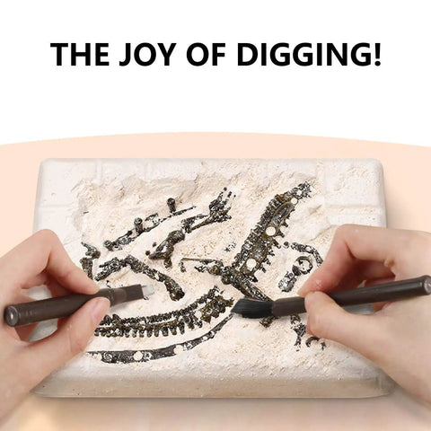 Hands On Dino Fossil Dig Kit For Kids Ages 5 To 7 And 8 To 12 With Real Fossils Teeth Claws And Lava Stones 3D T Rex Skeleton build
