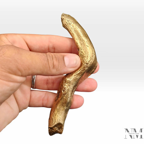 Hand holding branch shaped cabinet handle dope farmhouse vibe solid brass drawer pull with antique gold finish, rustic wood look hardware