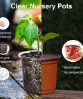 Comparison of clear nursery pots set of 36 in 7, 5, 4, and 3.5 inch sizes with decorative orange pots. Clear pots show roots.