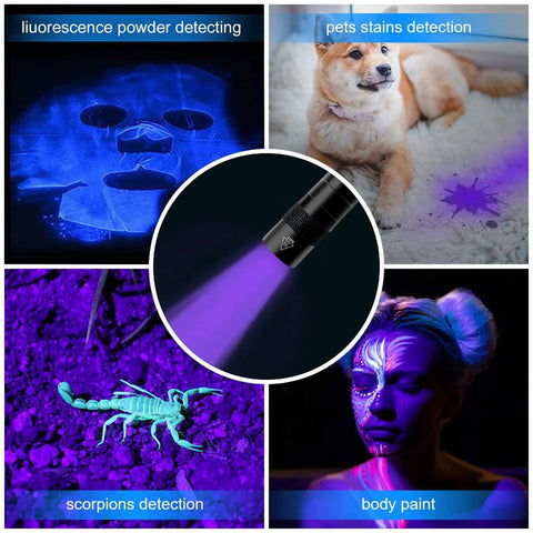 Collage showing 2-Pack Mini UV Black Light Flashlights 395nm for detecting stains, pet urine, scorpions, and fluorescent paint.
