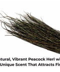 Natural Peacock Herl Feather For Fly Tying, 340 Strands, 10-20cm Length with iridescent colors against white background.