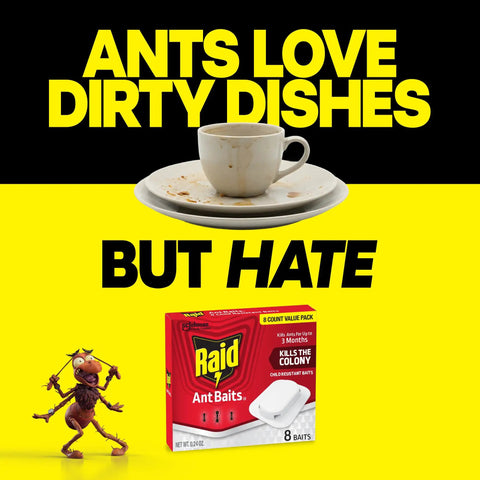 Pro Grade Indoor Ant Colony Buster Bait Stations For Households That Straight Up Wipe Out Worker Ants And Queen Dependable Gel Formula Lasts Up To Three Months Child Resistant Twist Lock Eight Count Kit with dirty dishes and ant baits.
