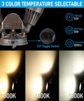 Three Color Temp LED Security Light With Motion Sensor For Outdoor Use, Dusk To Dawn Flood Light, CCT switch, color temps
