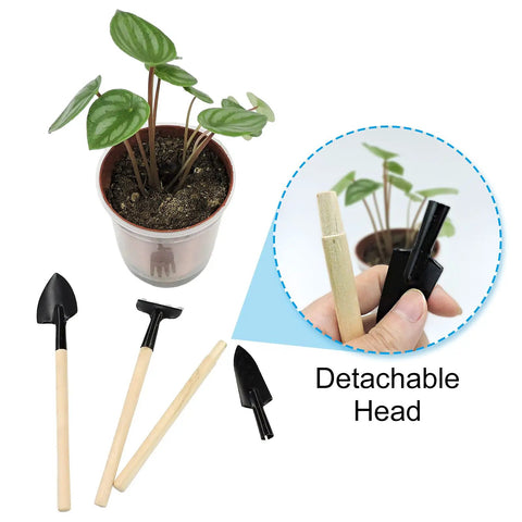 Mini Garden Tools Set 3 Piece Rake Trowel Shovel For Seedlings Bonsai Succulents And Terrariums with detachable heads