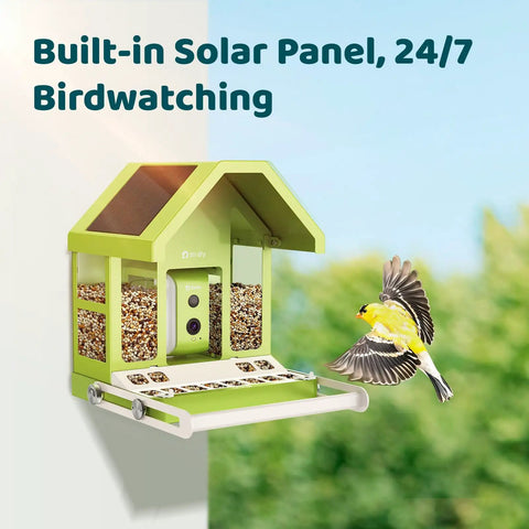 Smart Bird Feeder With Camera For Outdoors All Metal Durability Solar Powered Auto Identify And Record Video Instant Alerts Live Bird Watching, featuring a built-in camera and solar panel, mounted on a wall with a finch in flight nearby.