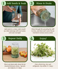 Sprouting Lids For Wide Mouth Mason Jars Set Of 2 Mesh Screen Strainer Lids For Organic Alfalfa And Mung Bean Sprouts Stainless Steel 316 Sage Green Accessory shown in four steps: soaking seeds, rinsing, sprouting, and ready to eat sprouts.