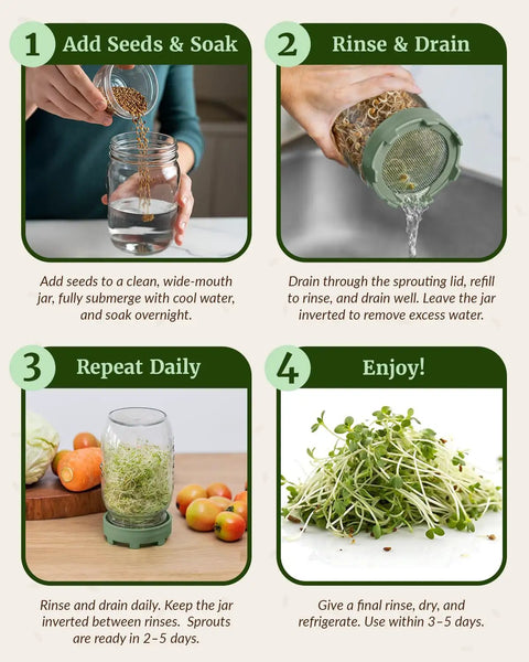 Steps to use Sprouting Lids For Wide Mouth Mason Jars Set Of 4, Microgreens Starter Kit For Organic Alfalfa And Mung Bean Sprouts, 316 Sage